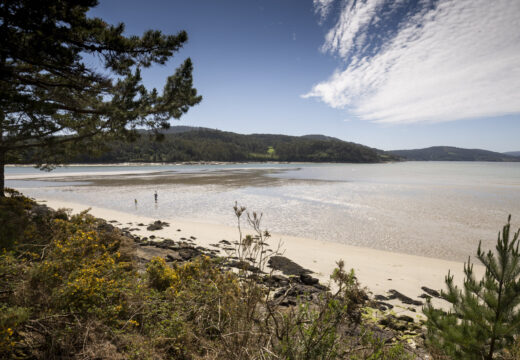 O Concello licita por 32.000 euros o servizo de limpeza de praias durante o verán